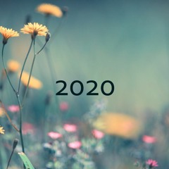 2020