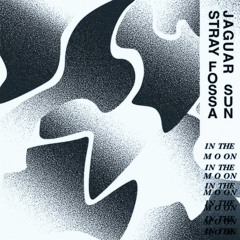 In The Moon - Stray Fossa x Jaguar Sun