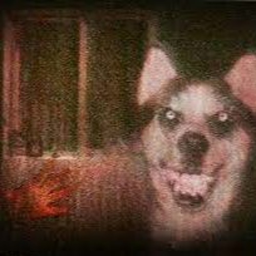 Smile Dog - Vibing Leaf Theme