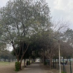 جلال خورشيد - ارتاحي