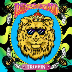 Lady Bee & The Partysquad - Trippin