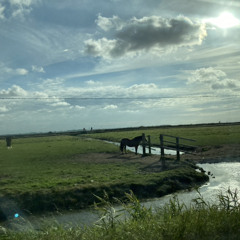 troublemaker lvd (sped up)