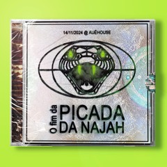 𖠁𖥊𓆘 O Fim da Picada da Najah 𓆘𖥊𖠁
