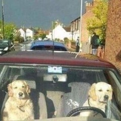 before the gate (prod. uguntaye beats)