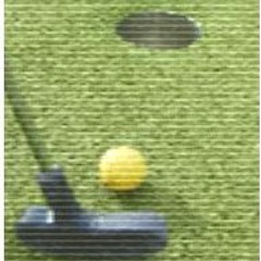 Mini Golfing