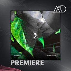 PREMIERE: The Oryx - Restless (Extended Mix) [Astral]