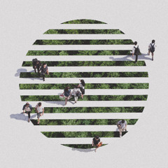 Divison Street - Sonder