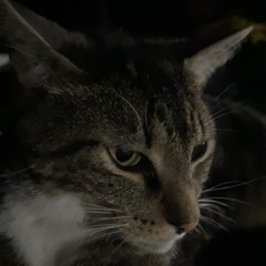 ken carson - vampire (2nd part of liveleak)