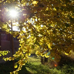 How I Feel - Hausband