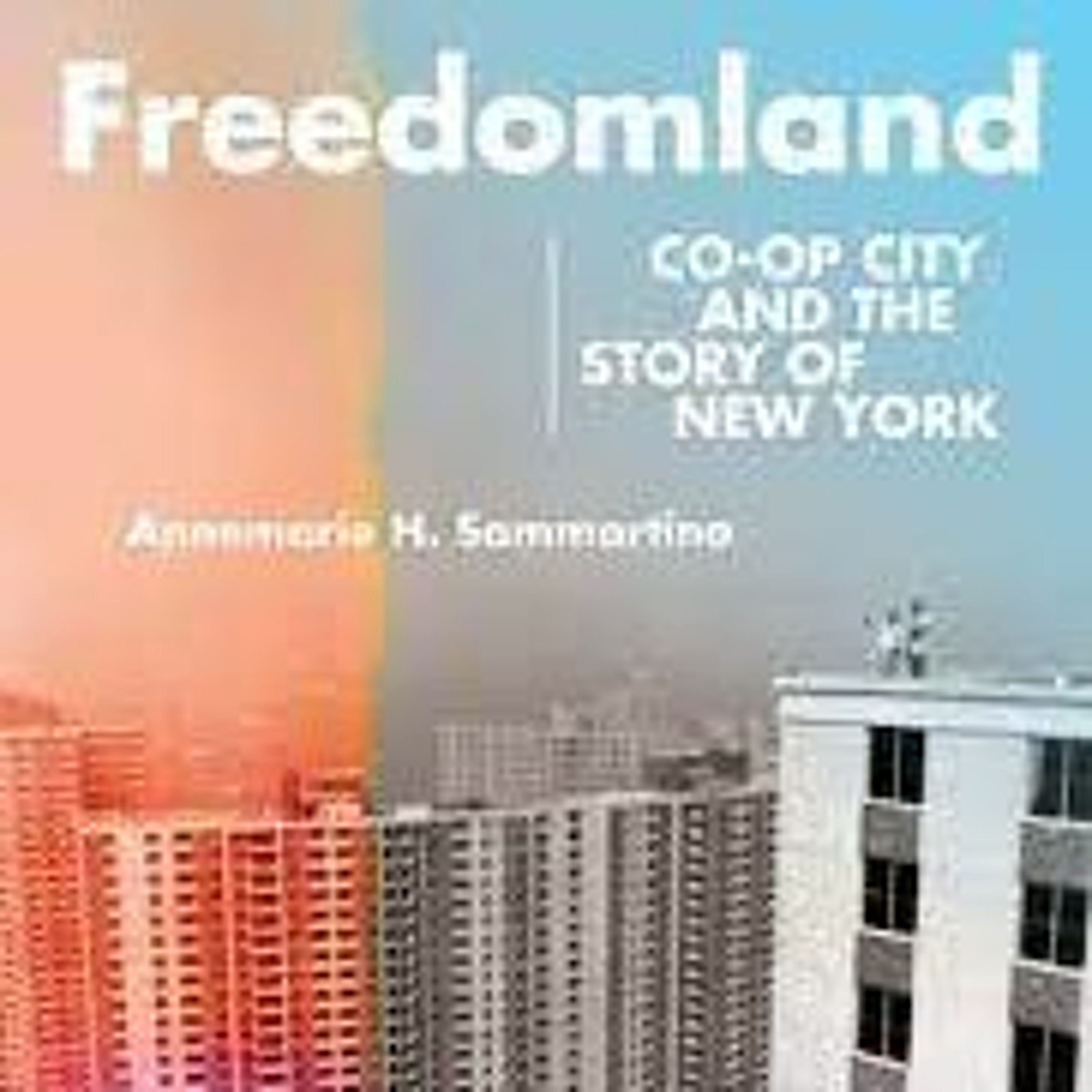 Annemarie Sammartino on Freedomland
