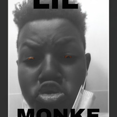 YUP  |LIL MONKE|
