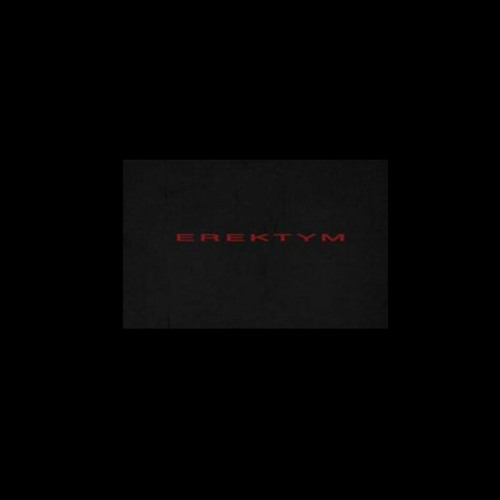 IDEAL WORKER - OWNS NOTHING [EREKTYM]