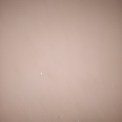 Salmos 59 português 4