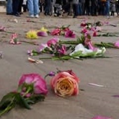 Dead roses