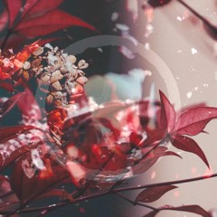 Cascade 02 (Eurorack Ambient Meditation)