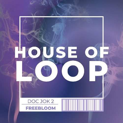 HOUSE OF LOOP