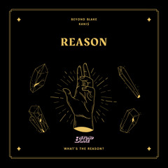 Reason (ft. Kani$)