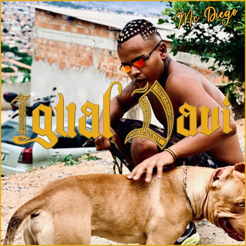 Mc MINERINHO - Igual Davi