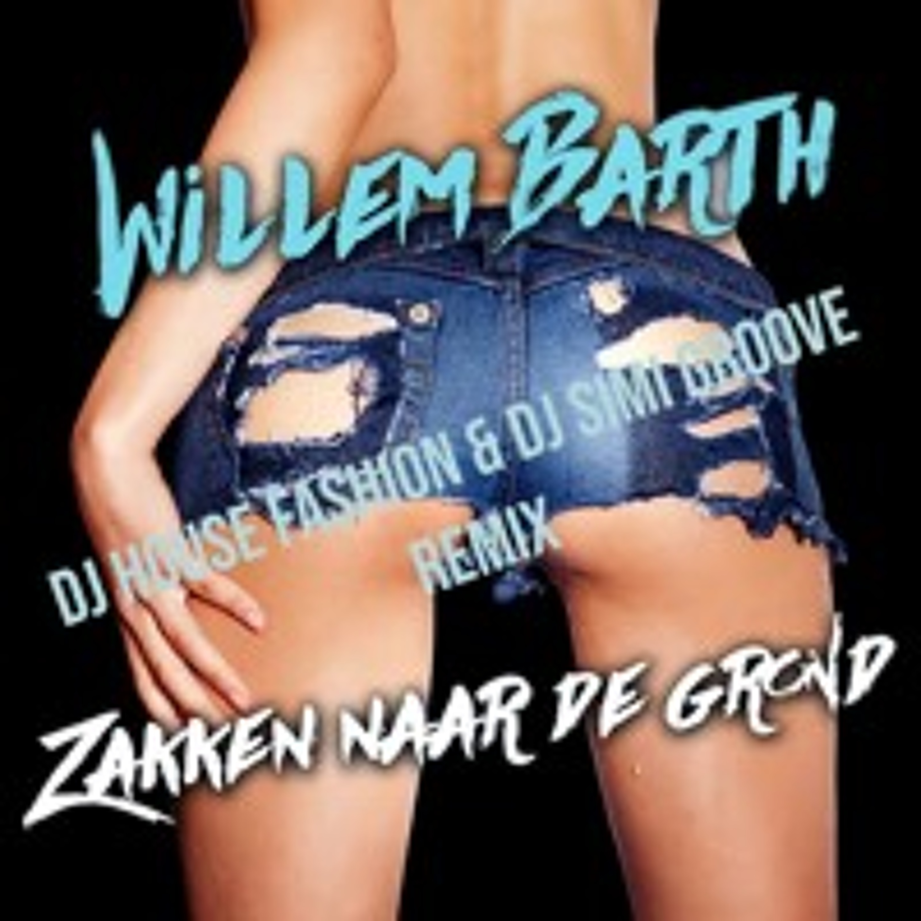 Willem Barth - Zakken naar de grond (DJ House Fashion & DJ Simi Groove remix) episode artwork