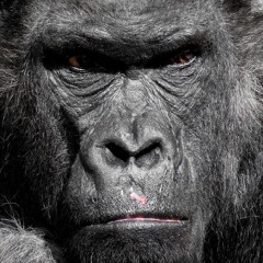 Débile (Instrumental)