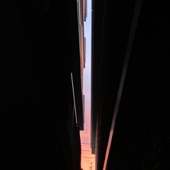 Echoes of the Unintended