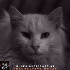 Blues Audiocast 41 ~ #ProgressiveHouse Mix