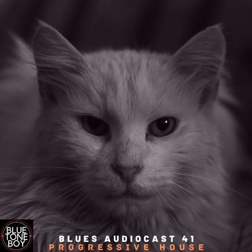 Blues Audiocast 41 ~ #ProgressiveHouse Mix