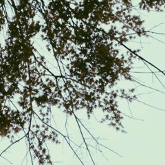 Clouded (Prod. VersaceHelicopter)