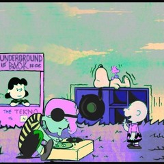 The acid zone