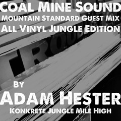 Adam Hester - Mountain Standard Guest Mix: All Vinyl Jungle Edition