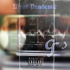 What Pandemic(Prod. By Flarryse X Calbebeatz)