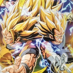PHY SSJ3 Goku And SSJ2 Vegeta StandBy Skill OST