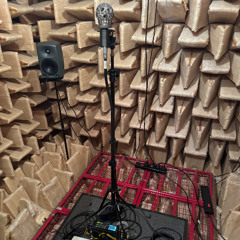 Tourbillon (Binaural From 16-Channel Ambisonics)