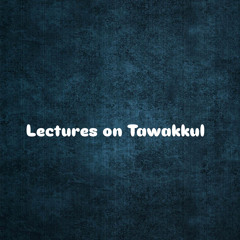 𝗧𝗮𝘄𝗮𝗸𝗸𝘂𝗹