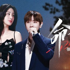 纯享 汪苏泷张碧晨［命运］天赐的声音5
