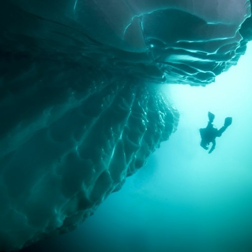 Stream Deep Dive Revelation (2020 edit) by The greenhouse project