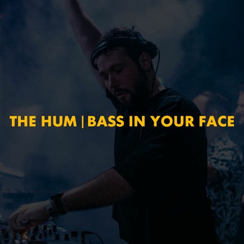 Stream The Hum | Bass In Your Face (Polygoneer Mashup) by Polygoneer ...