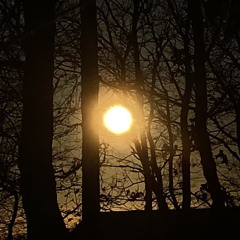 IfYouEverLovedMeAsMuchAsYouSaid