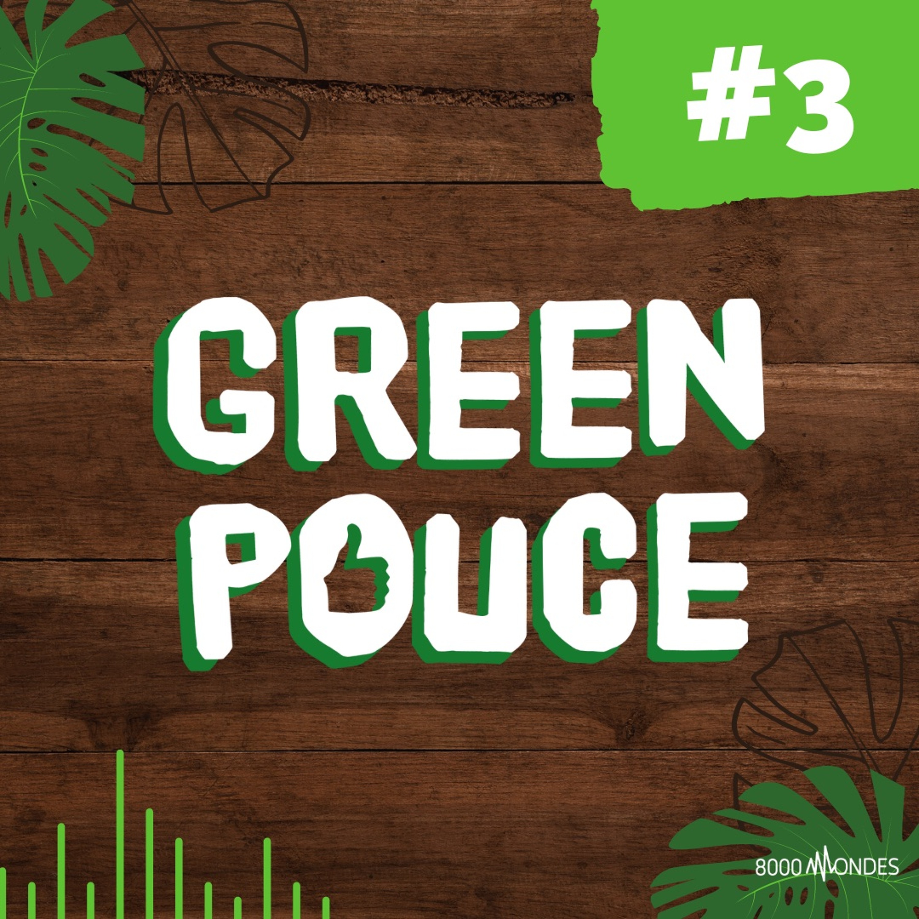 Greenpouce - Saison 1 - Episode 3 episode artwork