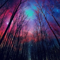 Solstice Evenings