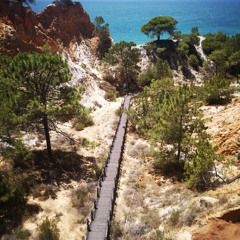 Meaning to Fall in Love