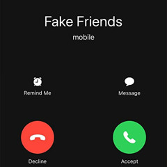 Bebeoffninth X Fake Friends