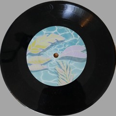 MSLX VINYL RELEASES