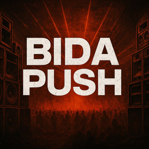 BIDA PUSH