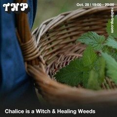 Chalice is a Witch & Healing Weeds @ Radio TNP 28.10.2023