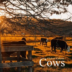 Cows