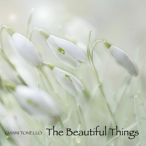 The Beautiful Things