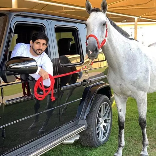 كاس بوراشد🔥🔥