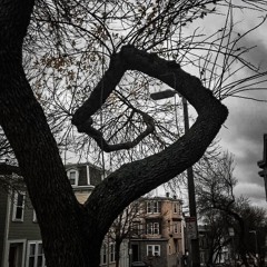 take my life - boolymon (piano version) looped