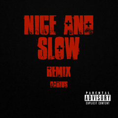 Nice & Slow (REMIX)